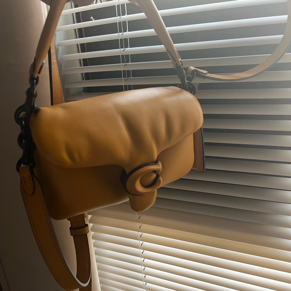 Coach pillow tabby (small)